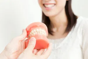 歯並びと噛み合わせの関係性